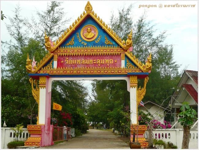 NST133.JPG